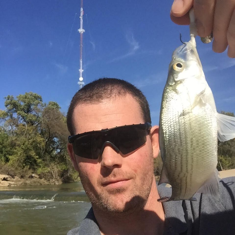 Picture of a white bass