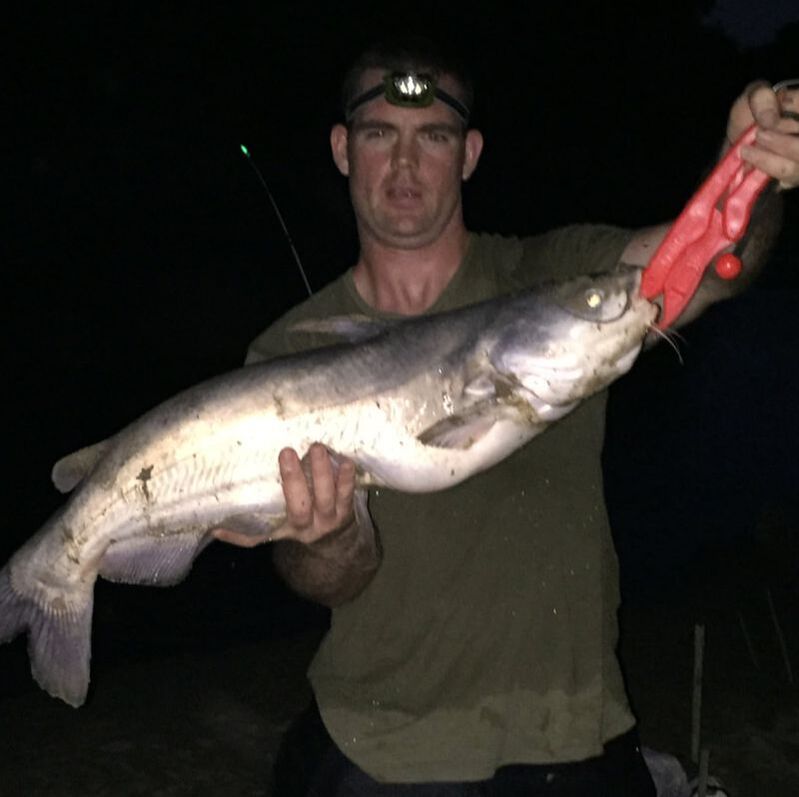 Picture of a 14 pound blue catfish